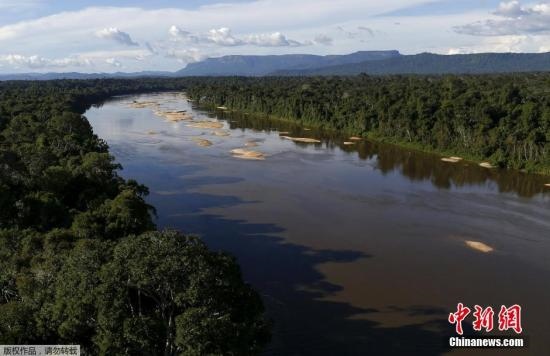 資料圖：亞馬孫雨林內(nèi)的河流。