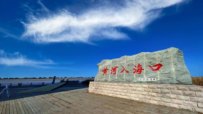 △黃河入?？谖挥谏綎|東營(yíng)市墾利區(qū)。(總臺(tái)央視記者彭漢明拍攝)