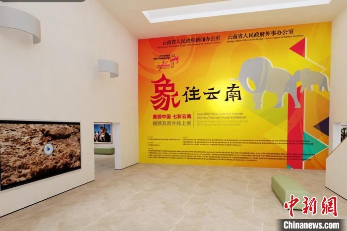 圖為“象”往云南——美麗中國 七彩云南視頻及圖片線上展截圖?！『h航 攝