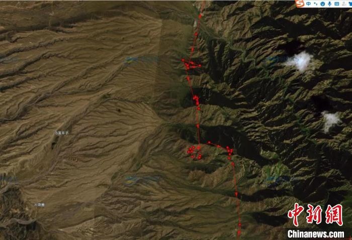 圖為雪豹故地重游來(lái)到放歸地的足跡?！?nèi)蒙古賀蘭山國(guó)家級(jí)自然保護(hù)區(qū)供圖