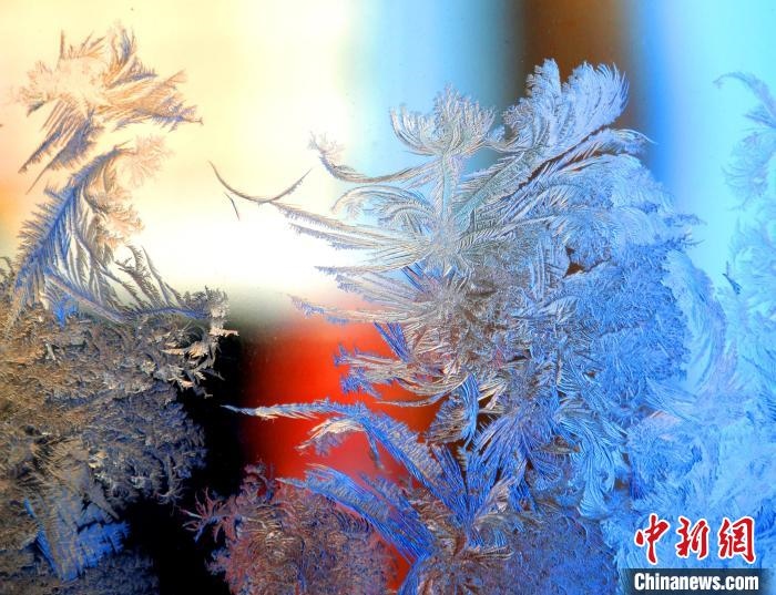 冰窗花千姿百態(tài)?！O書程 攝