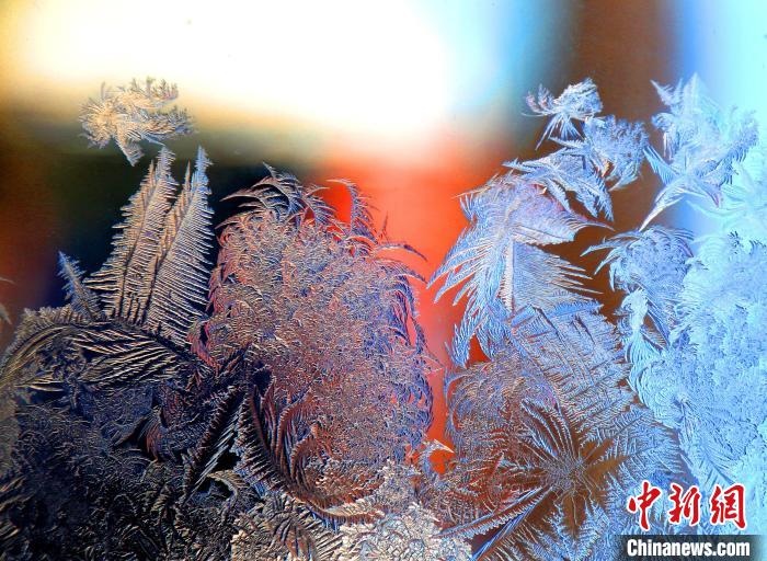 惟妙惟肖的冰窗花，似一幅風(fēng)景畫。　孫書程 攝
