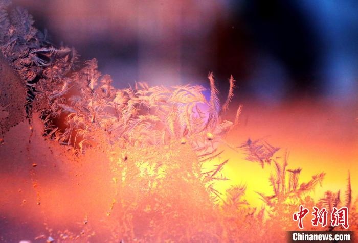 迎著光亮，冰窗花絢麗多姿?！O書程 攝