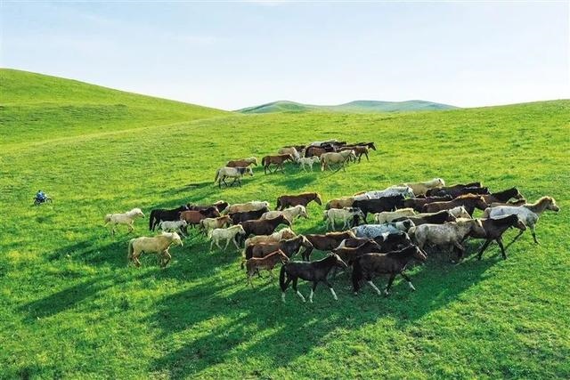 1603419132270672.jpeg a4-4.jpeg