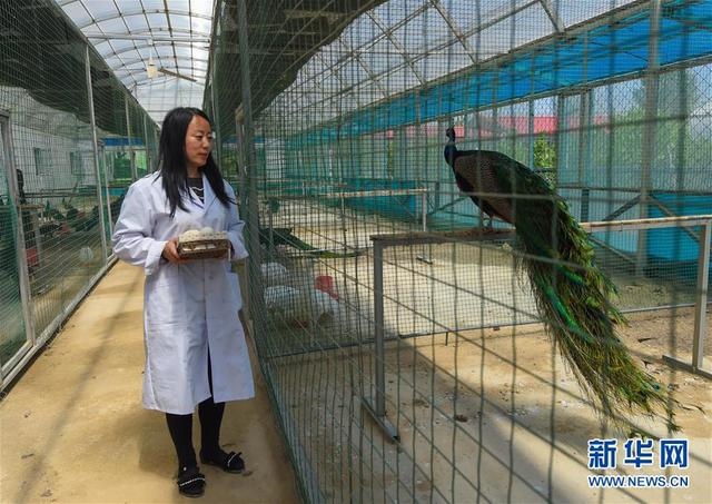 1604387620459652.jpeg 5531_16.jpeg