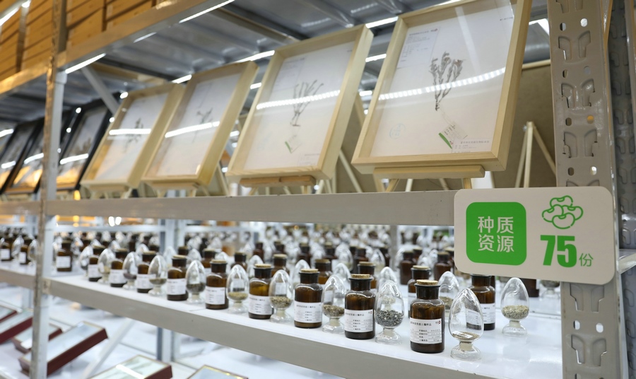 1615984533384500.jpg 7O5A4304.JPG