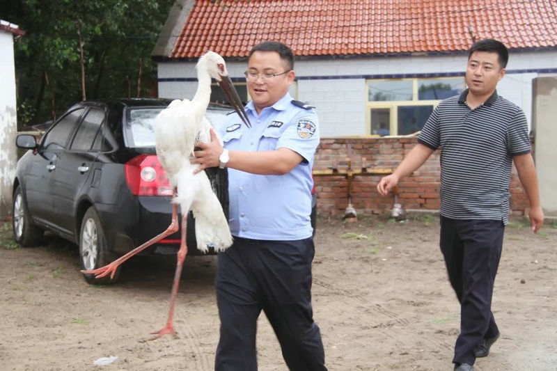 1658817977440042.jpg 微信圖片_20220726143238_副本.jpg