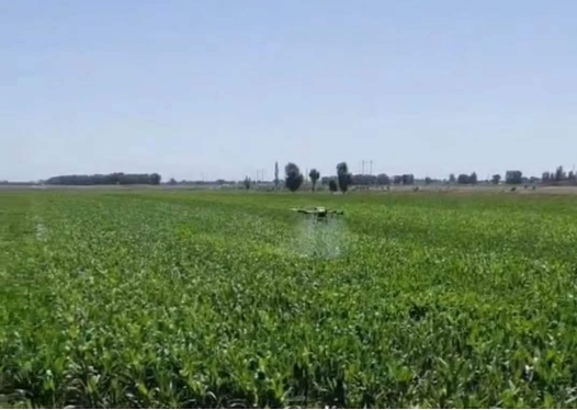 1675168025745009.png image.png