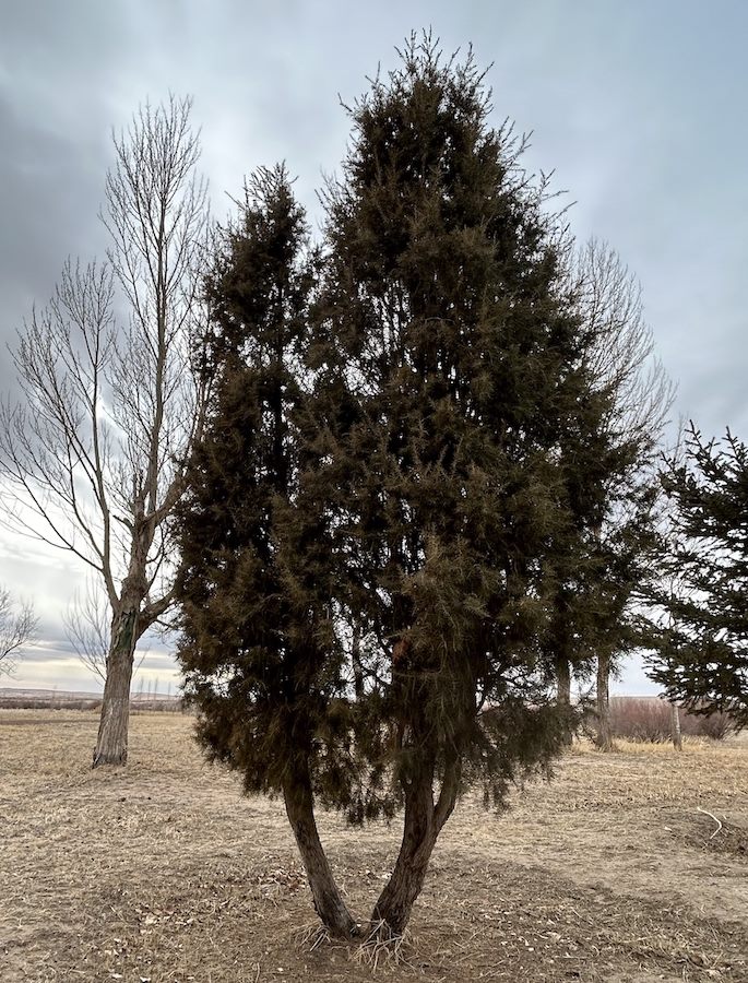 1711815315345028.jpeg WechatIMG1221.jpeg