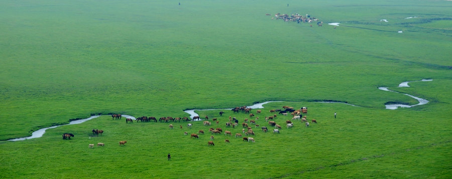 1721031935867391.jpg 科爾沁沙地殲滅戰(zhàn)興安盟科右中旗“南三蘇木”治理區(qū)防沙治沙工程建設活動現(xiàn)場(攝影:包寶音德力格爾).JPG