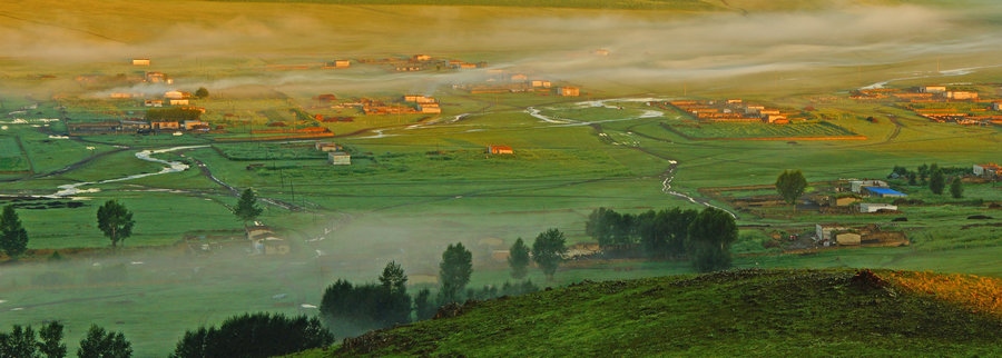 1721032352722546.jpg 在“螞蟻森林”項目區(qū),群眾攜手共添新綠(攝影:刁博禹).jpg