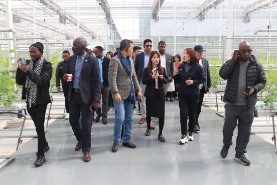 1727084999939168.png 北京大學(xué)“東方獎學(xué)金”學(xué)員參訪團在鄂爾多斯為“東方友誼林”種下新樹苗189.png