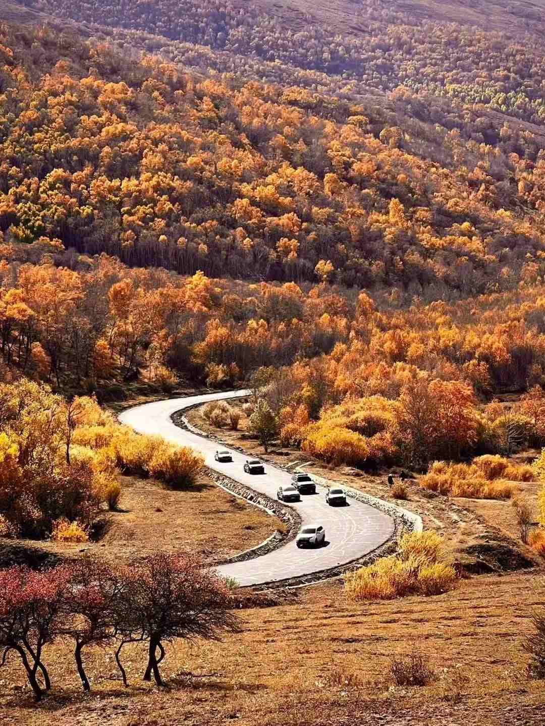 1727510488964127.jpeg WechatIMG125.jpeg