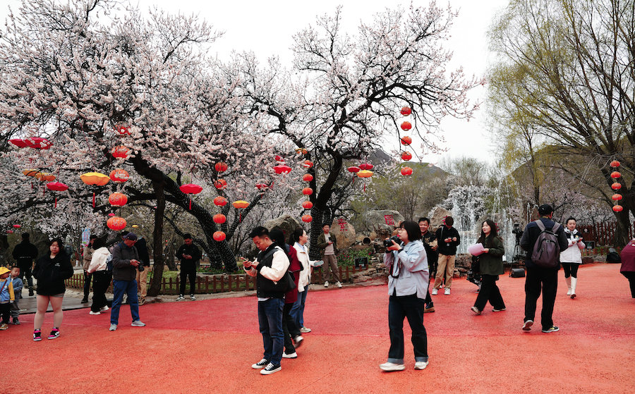 1744972814633686.jpeg WechatIMG52ef58fbf83a0f141d0e393371ca0429.jpeg