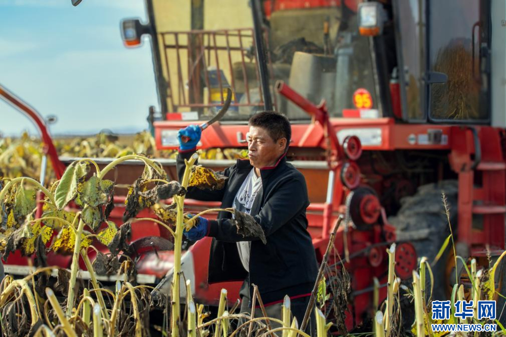 1745806092137258.jpg _DSC3208.jpg