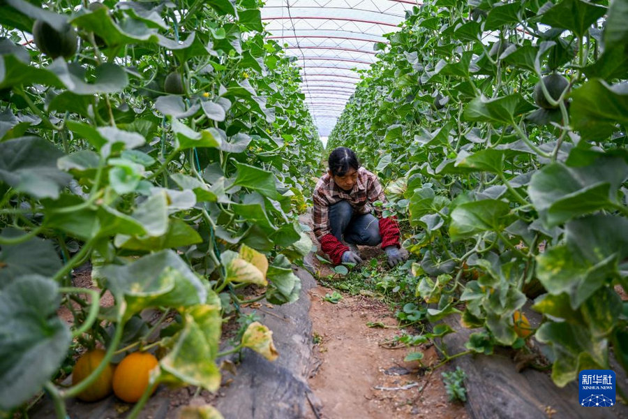 1746337362810675.jpg _DSC3188.jpg