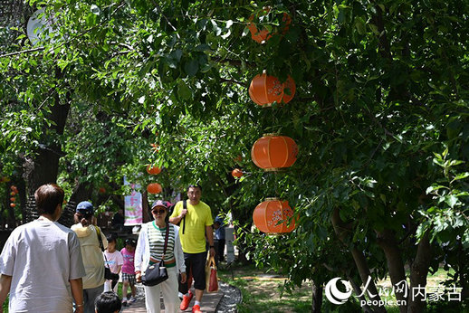 1752228361220150.jpg 內(nèi)蒙古5.jpg