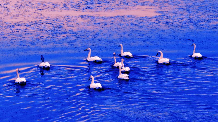 1759713365301781.jpeg WechatIMG7734.jpeg