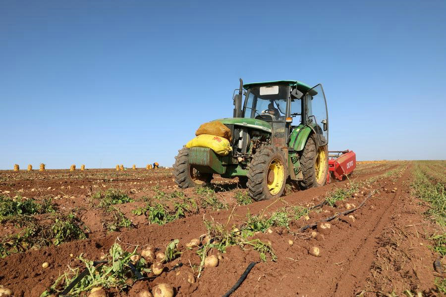 1762223432868811.jpg 7-1B3B1209-US.jpg