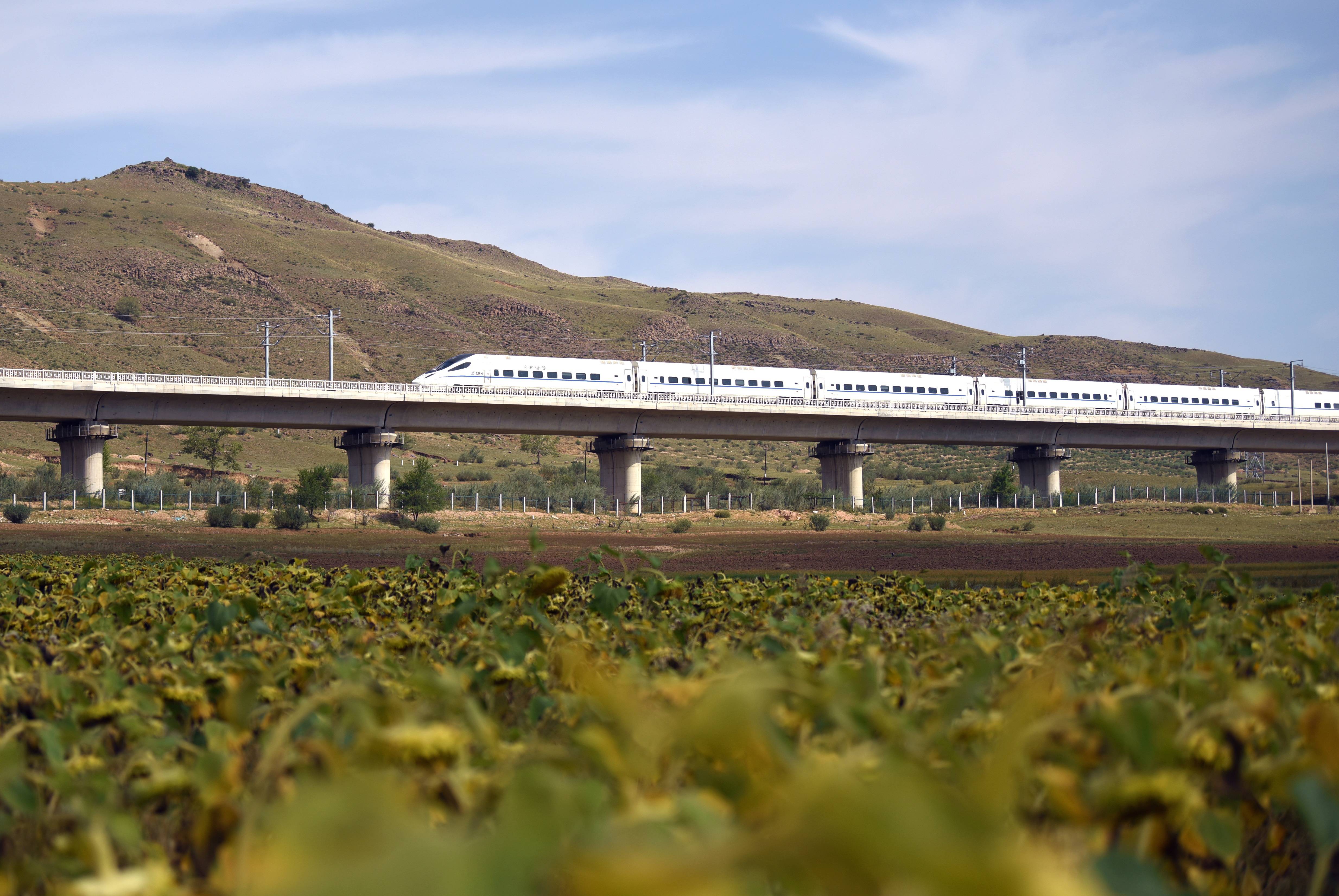 1762405645372999.jpeg c403892f2d354d6fa3169c44aec76cf0.jpeg