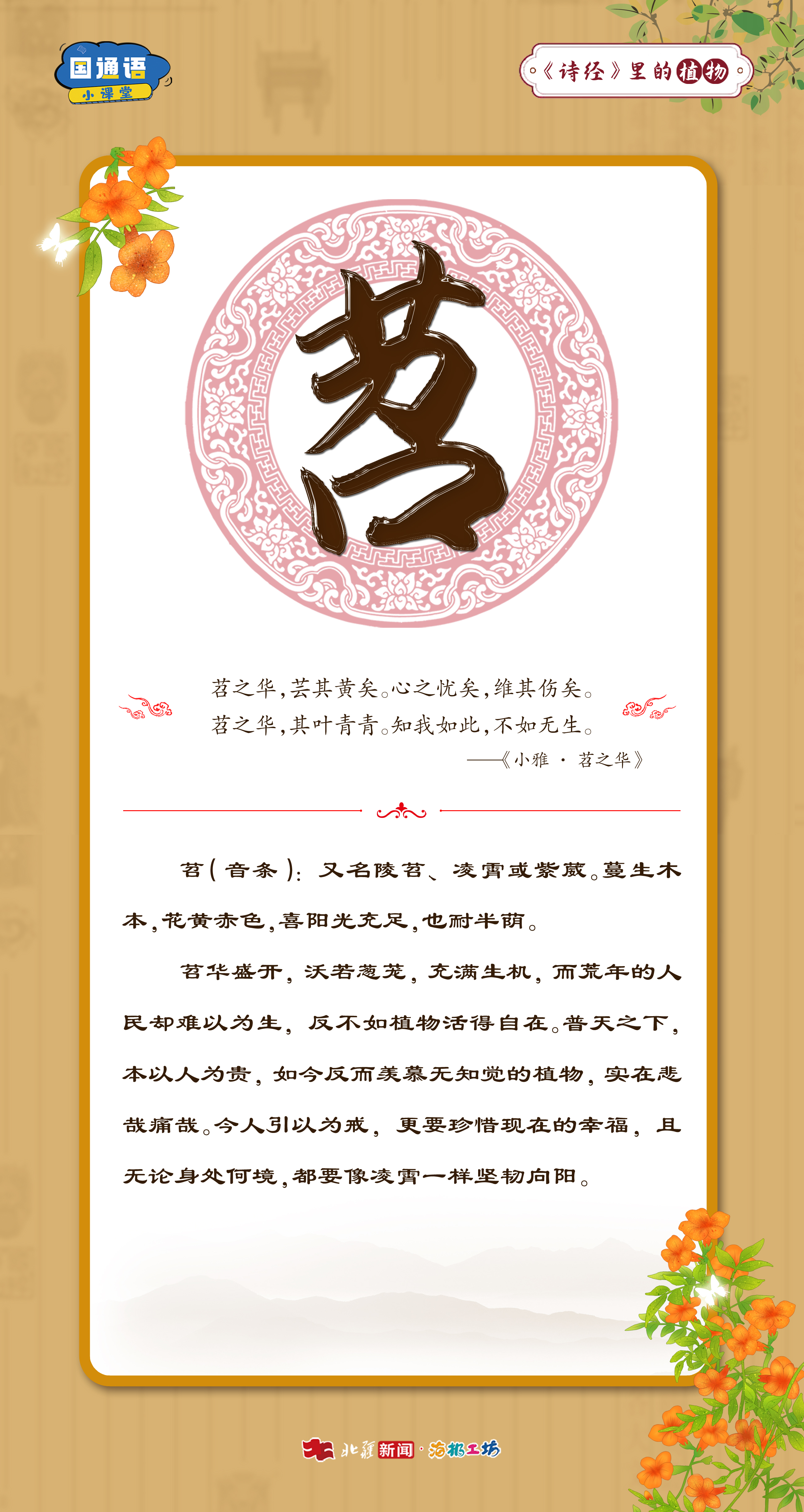 1766971853203497.jpg _DSC2271.JPG