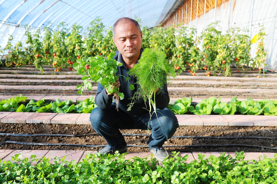 1767251162887874.png 圖片42.png