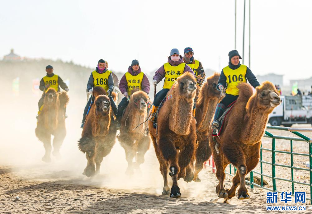 3月7日，賽駝手在6000米成年駱駝場(chǎng)地速度賽比賽中。.jpg