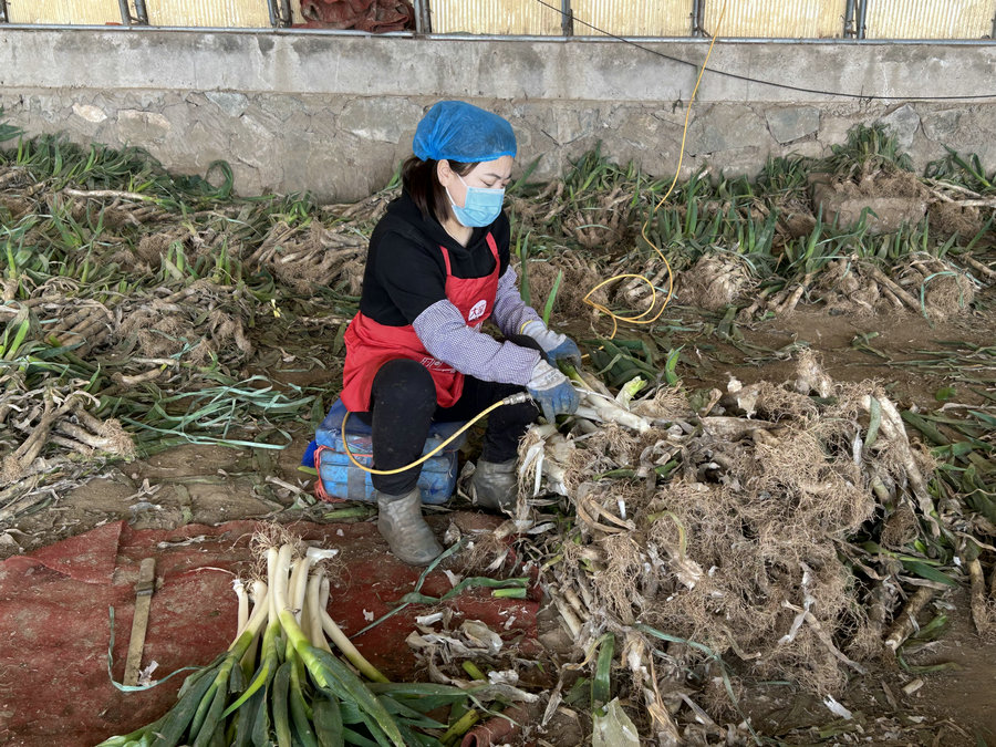 1774248174987149.jpg 640 (1).jpg