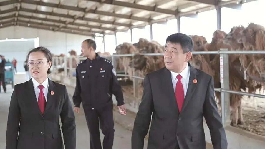 1774495851109343.jpg 004.jpg