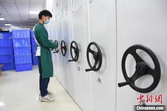 圖為鄭州大學(xué)人骨考古實(shí)驗(yàn)室內(nèi)的骨骼標(biāo)本庫。王宇 攝