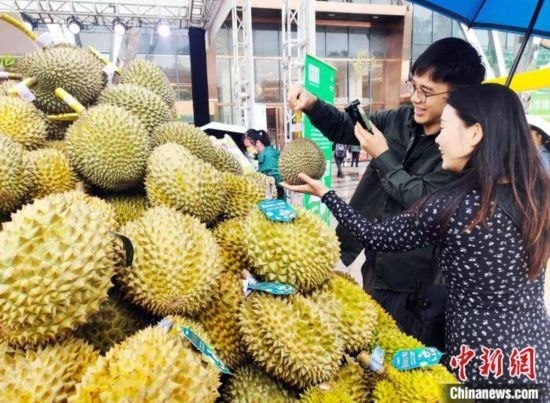 圖為廣西南寧市民在選購(gòu)榴蓮。黃艷梅 攝