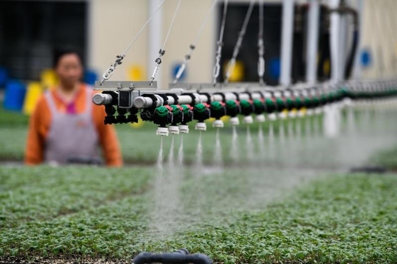 工人在貴陽市開陽縣楠木渡蔬菜良種繁育中心查看自動(dòng)噴灌系統(tǒng)給辣椒苗澆水情況（2023年5月24日攝）。新華社記者 楊文斌 攝
