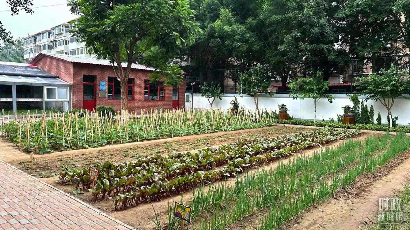 △學(xué)生農(nóng)場。（總臺央視記者趙化拍攝）