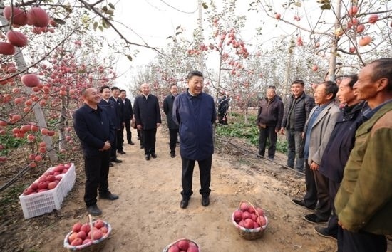 2022年10月26日，習(xí)近平總書記在陜西省延安市安塞區(qū)高橋鎮(zhèn)南溝村蘋果園同老鄉(xiāng)們親切交流。