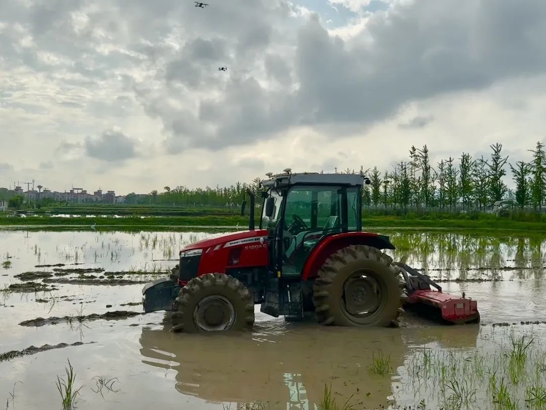 浙江省金華市東陽市城東街道寀盧村的一臺無人駕駛耕地機。靜玄 攝