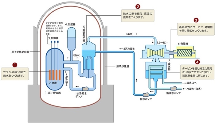 核電站運作原理圖。通常的核電站排水未直接接觸核燃料。（圖片來源：日本北海道電力株式會社網(wǎng)站）