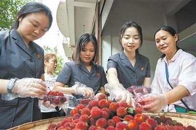 志愿者和村民一起將摘下的楊梅裝進食品盒里。