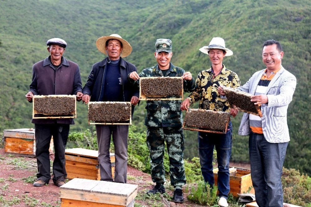 ↑武警四川總隊涼山支隊精準幫扶昭覺縣梭梭拉打村發(fā)展養(yǎng)蜂產業(yè)，總隊駐村扶貧干部布哈（中）和村民一同展示豐收成果（2019年6月12日攝）。新華社發(fā)（楊劍 攝）