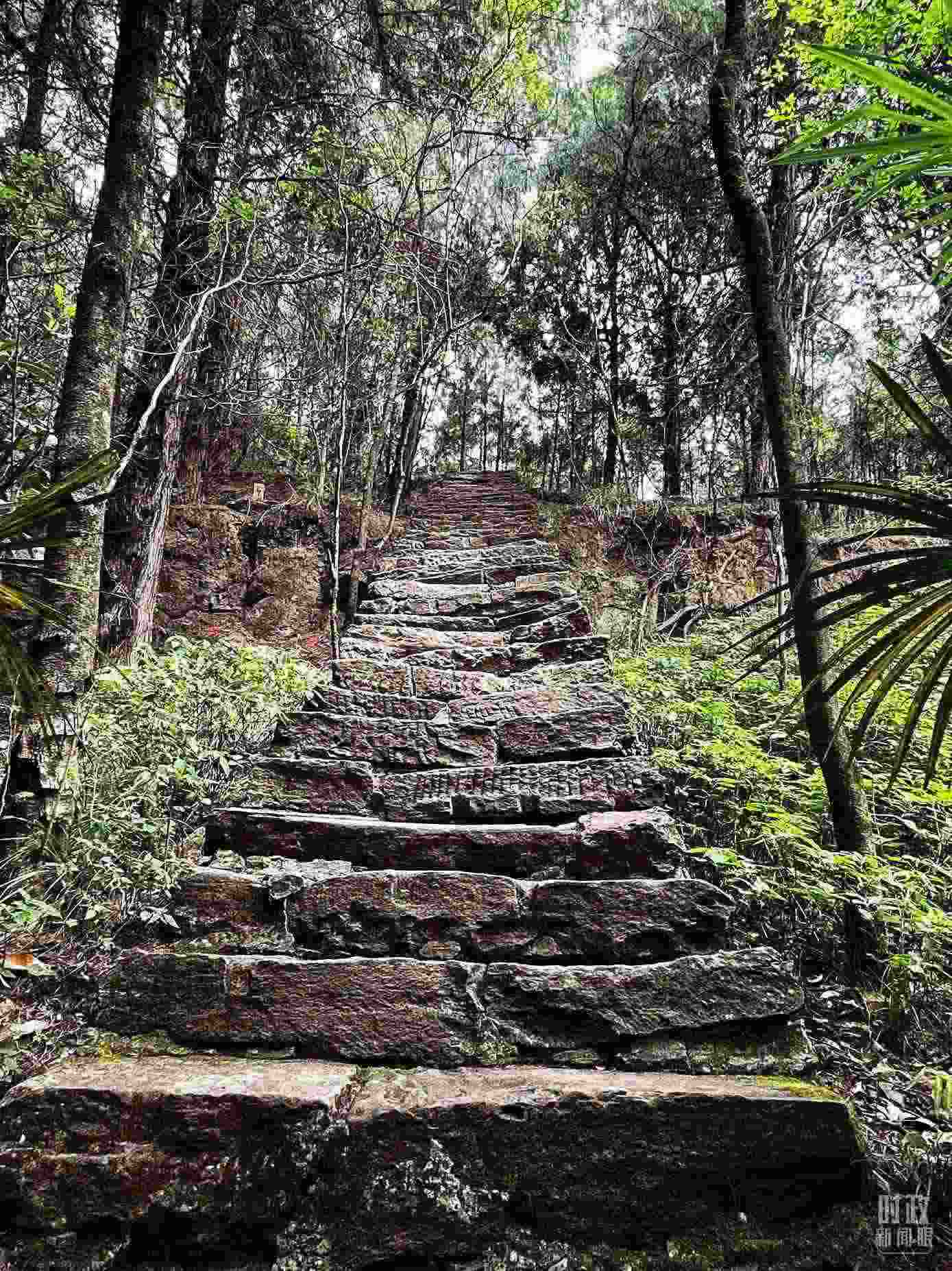 △古蜀道。（總臺(tái)央視記者郭曉龍拍攝）