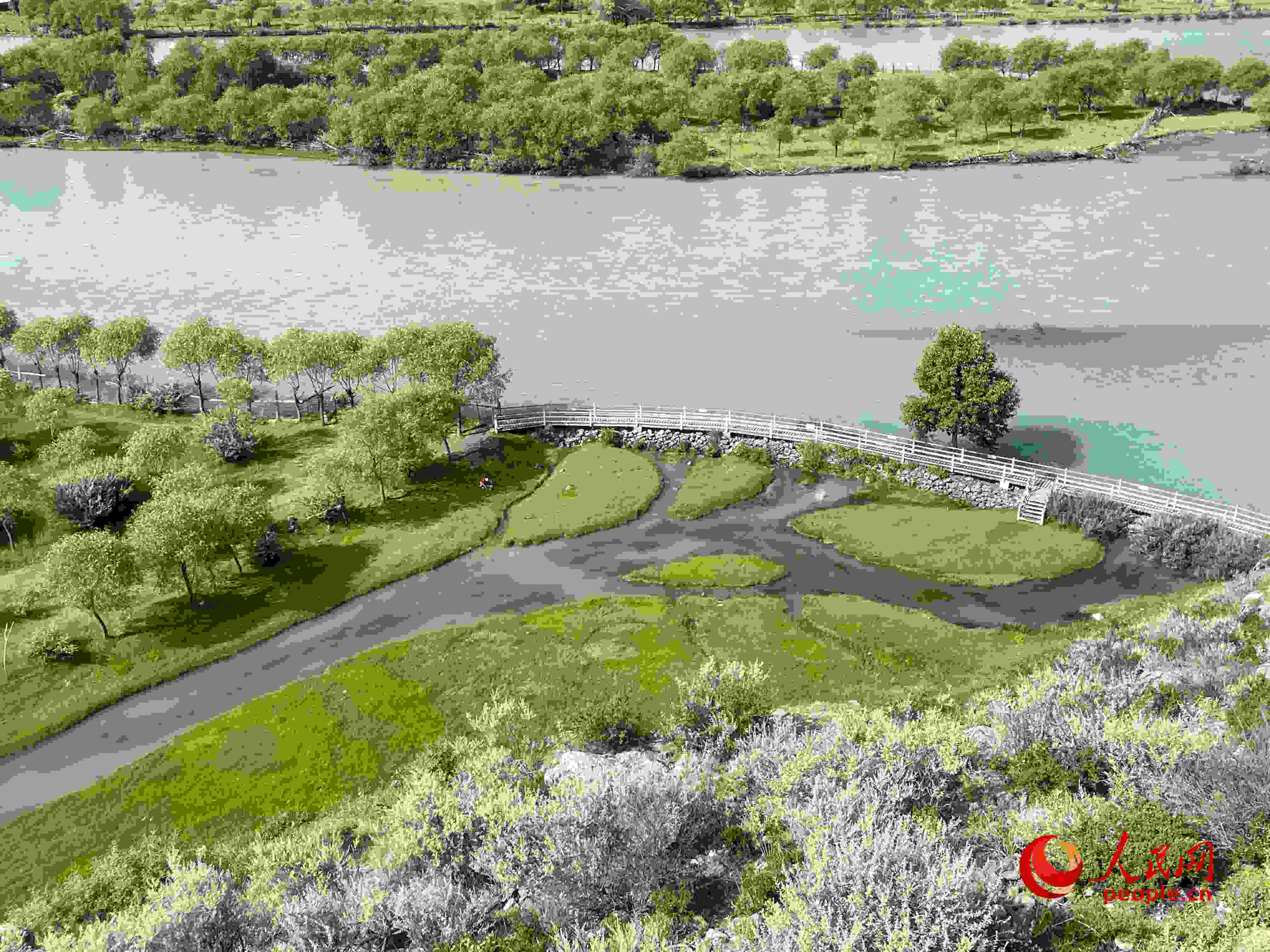 夏日的雅尼國家濕地公園生機(jī)盎然，如詩如畫。人民網(wǎng) 周靜圓攝