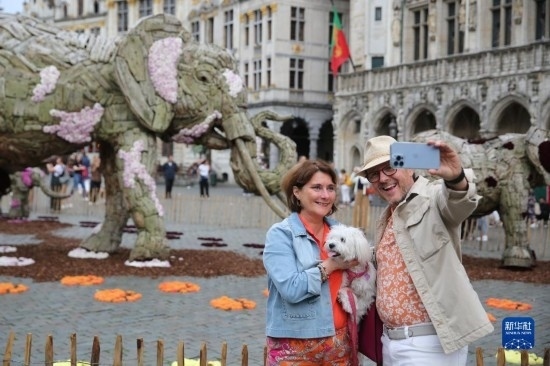 8月11日，觀眾在比利時(shí)布魯塞爾“鮮花時(shí)光”展覽上拍照。新華社記者 趙丁喆攝