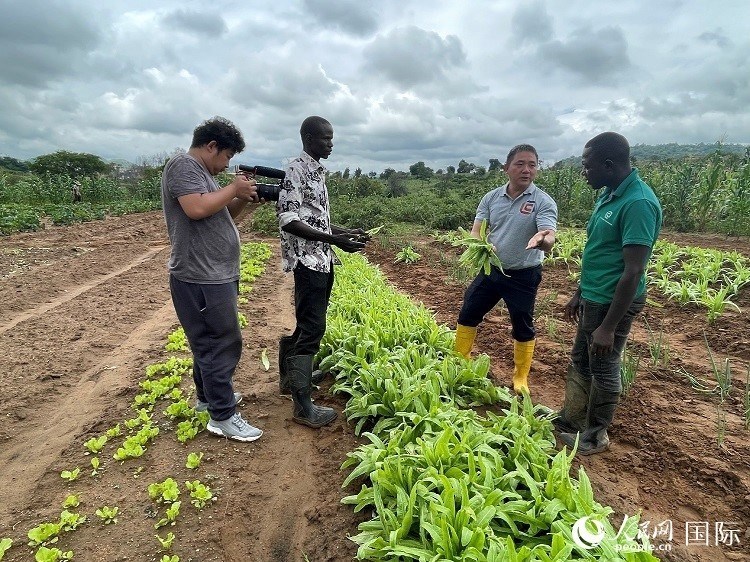 人民網(wǎng)記者走進尼日利亞農(nóng)業(yè)技術(shù)示范中心。人民網(wǎng)記者 趙艷紅攝