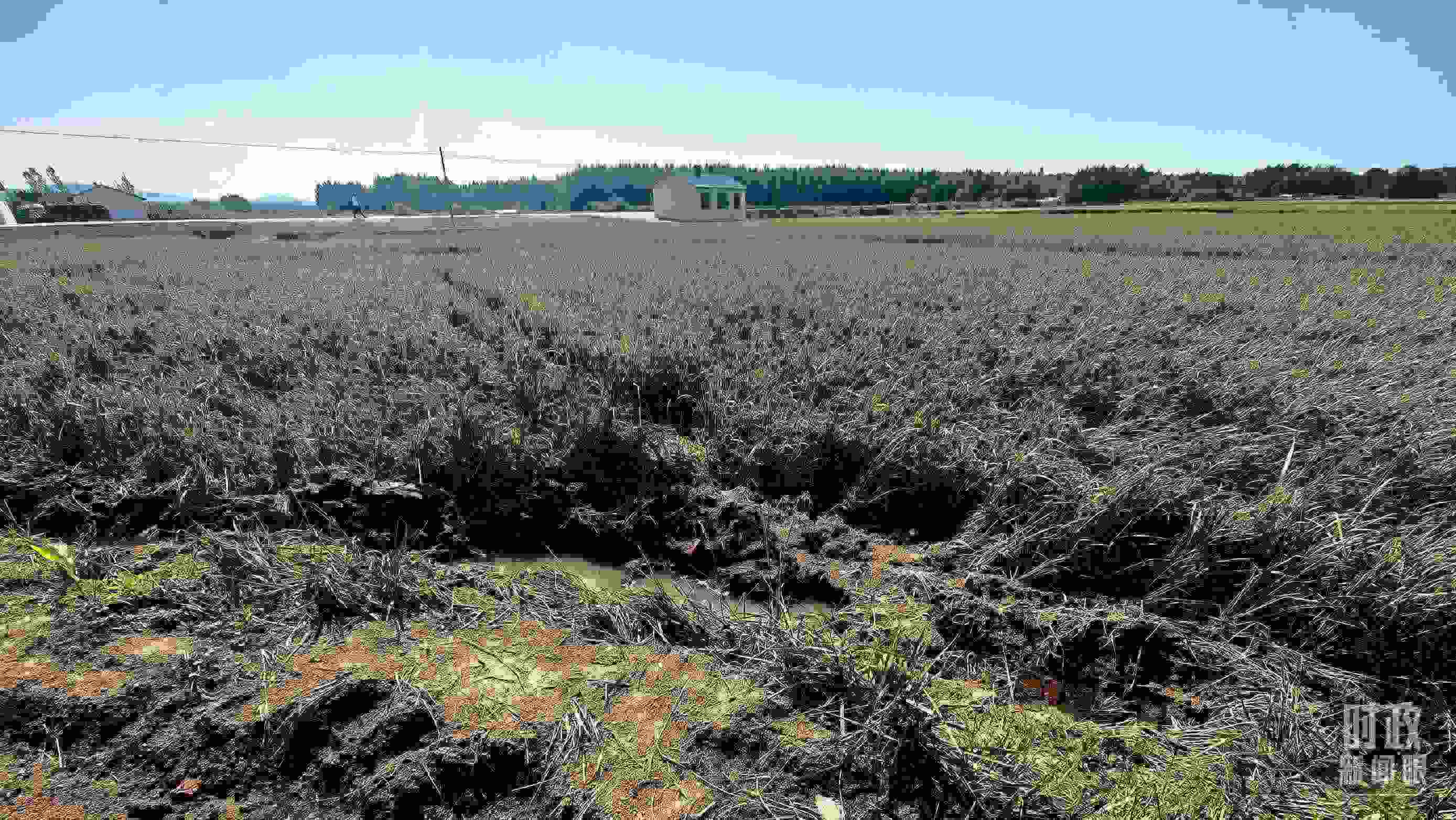 △圖為龍王廟村在洪災中受損的農(nóng)田。（總臺央視記者史偉拍攝）