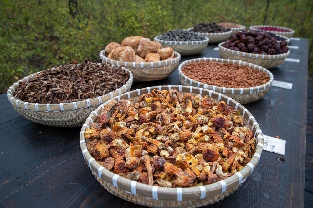 △近日，漠河市北極村一景區(qū)展示的林下產(chǎn)品。