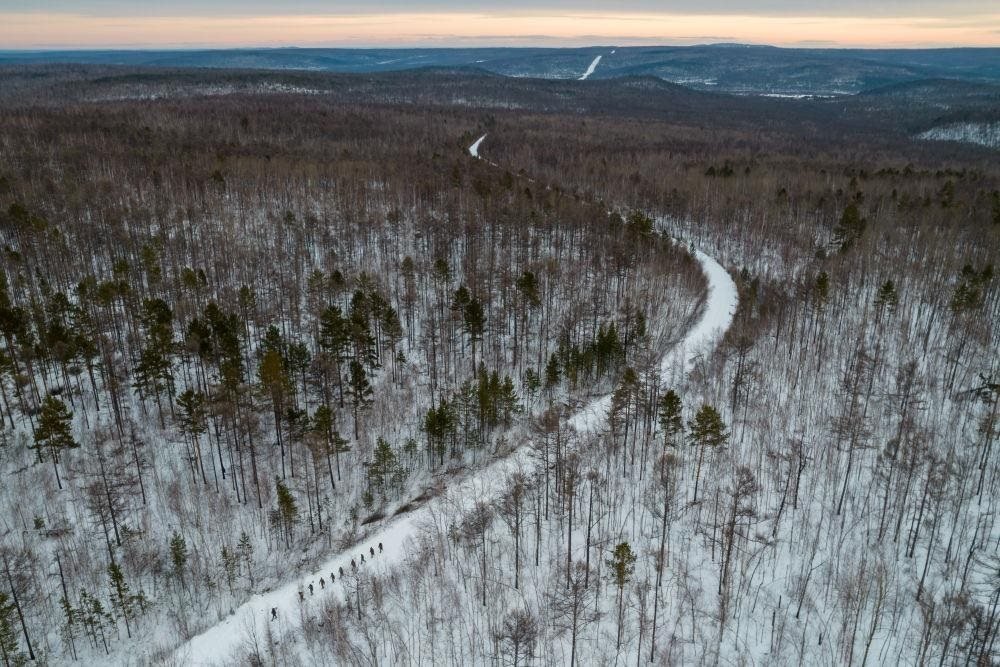 △2023年1月，漠河林場(chǎng)數(shù)十名職工自發(fā)組成的森林撫育隊(duì)伍，在人跡罕至的山林中作業(yè)。