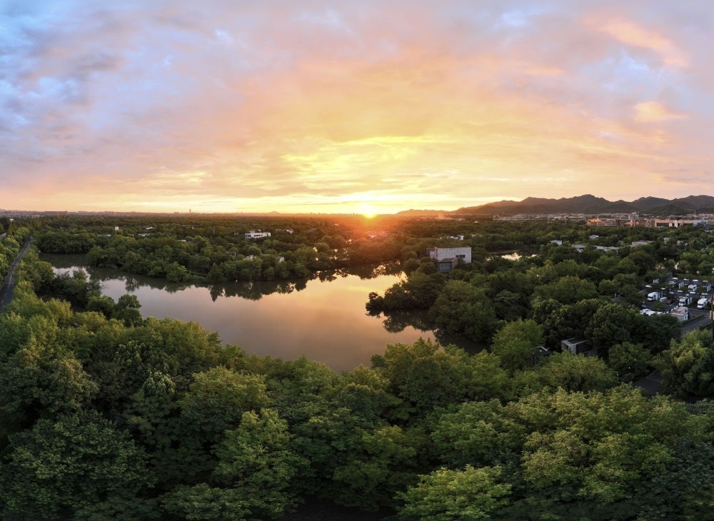 杭州西溪濕地日出景觀。