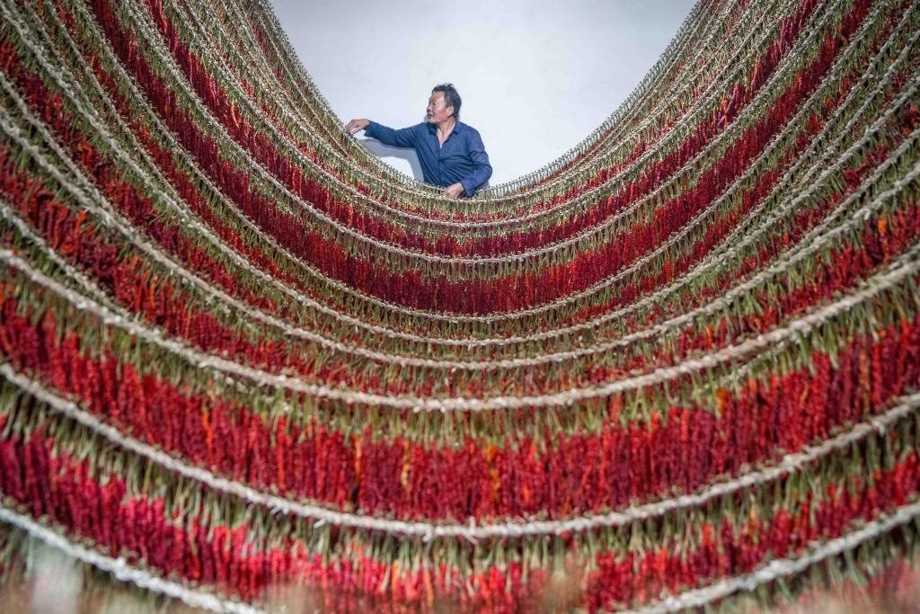 在貴州省畢節(jié)市大方縣理化鄉(xiāng)金雞村，村民查看辣椒烘干情況。新華社發(fā) 羅大富攝