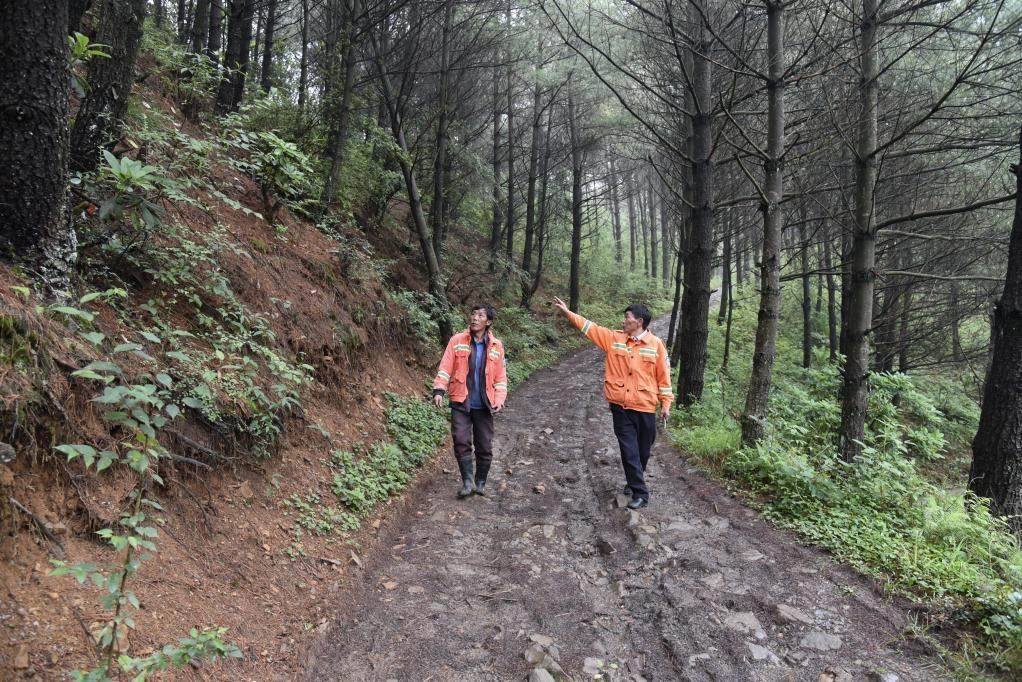 海雀村生態(tài)護(hù)林員馬正安（左）和海雀村林管員王光德（右）在日常巡山護(hù)林。新華社記者 李凡 攝