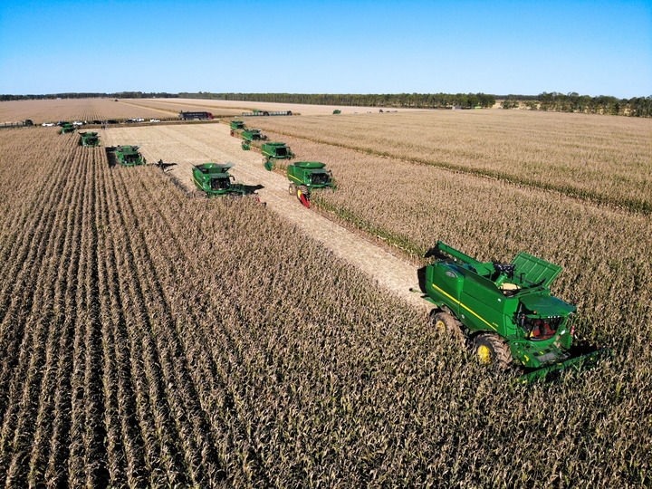 9月20日在位于黑龍江雙鴨山市友誼縣的北大荒農業(yè)股份有限公司友誼分公司一地塊拍攝的秋收現場（無人機照片）。新華社記者 王松 攝