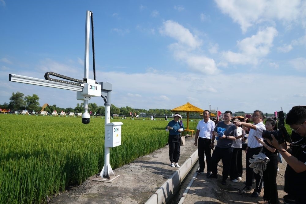 在北大荒集團(tuán)閆家崗農(nóng)場(chǎng)有限公司農(nóng)業(yè)現(xiàn)代化示范區(qū)，工作人員在介紹利用數(shù)字技術(shù)的葉齡診斷儀（2023年8月10日攝）。新華社記者 王建威 攝